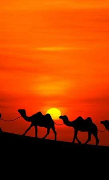 Morocco Camel Trekking