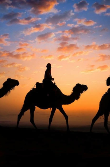 Morocco Camel Trekking