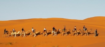 Tangier Desert Tour