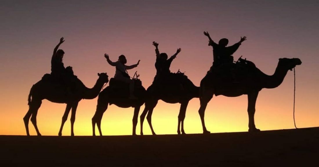 Camel Tours