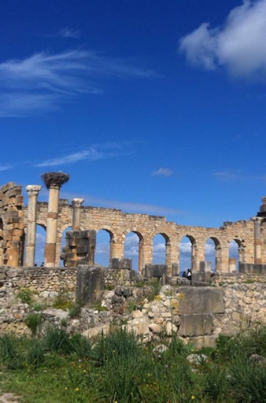 Day Trip from Fes